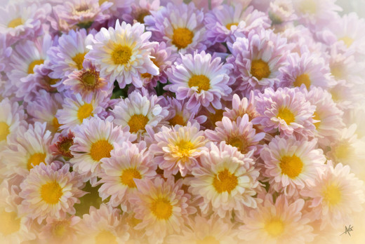 1714749 (a): :3600x2405